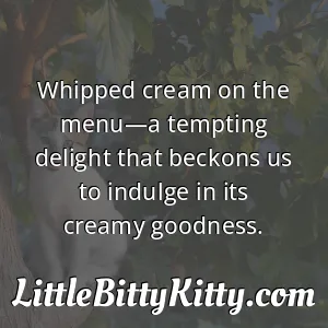 Whipped cream on the menu—a tempting delight that beckons us to indulge in its creamy goodness.
