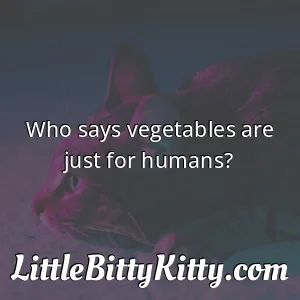 Who says vegetables are just for humans?