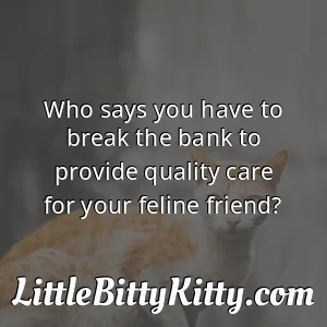 Who says you have to break the bank to provide quality care for your feline friend?