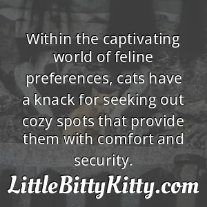 Within the captivating world of feline preferences, cats have a knack for seeking out cozy spots that provide them with comfort and security.