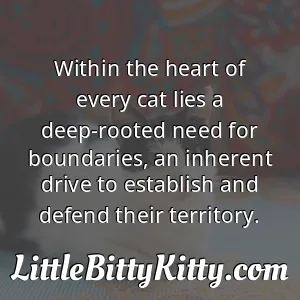 Within the heart of every cat lies a deep-rooted need for boundaries, an inherent drive to establish and defend their territory.