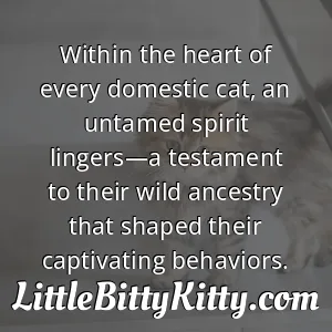 Within the heart of every domestic cat, an untamed spirit lingers—a testament to their wild ancestry that shaped their captivating behaviors.