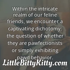 Within the intricate realm of our feline friends, we encounter a captivating dichotomy: the question of whether they are pawfectionists or simply exhibiting pawd behavior.