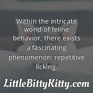 Within the intricate world of feline behavior, there exists a fascinating phenomenon: repetitive licking.