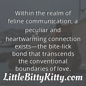 Within the realm of feline communication, a peculiar and heartwarming connection exists—the bite-lick bond that transcends the conventional boundaries of love.