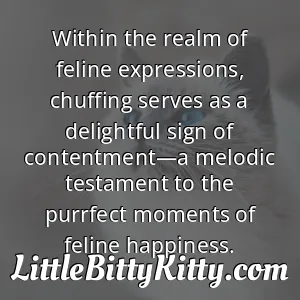 Within the realm of feline expressions, chuffing serves as a delightful sign of contentment—a melodic testament to the purrfect moments of feline happiness.