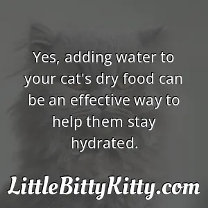 Yes, adding water to your cat's dry food can be an effective way to help them stay hydrated.