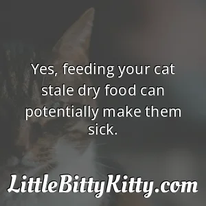 Yes, feeding your cat stale dry food can potentially make them sick.