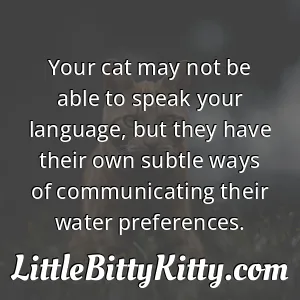 Your cat may not be able to speak your language, but they have their own subtle ways of communicating their water preferences.
