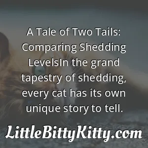A Tale of Two Tails: Comparing Shedding LevelsIn the grand tapestry of shedding, every cat has its own unique story to tell.
