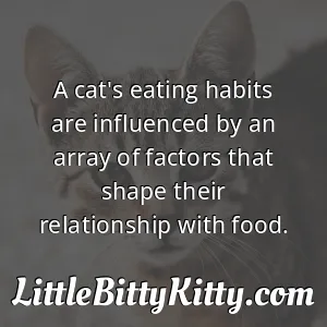 A cat's eating habits are influenced by an array of factors that shape their relationship with food.
