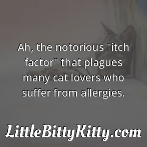 Ah, the notorious "itch factor" that plagues many cat lovers who suffer from allergies.