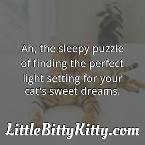 Ah, the sleepy puzzle of finding the perfect light setting for your cat's sweet dreams.