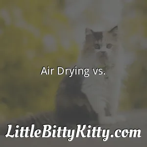 Air Drying vs.