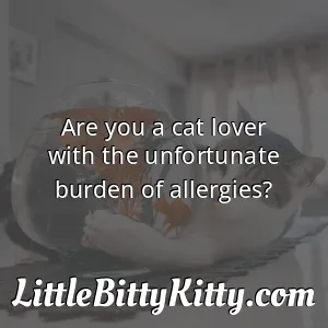 Are you a cat lover with the unfortunate burden of allergies?
