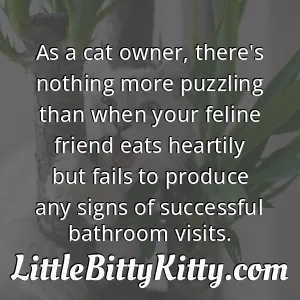 As a cat owner, there's nothing more puzzling than when your feline friend eats heartily but fails to produce any signs of successful bathroom visits.