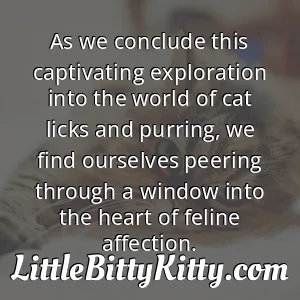 As we conclude this captivating exploration into the world of cat licks and purring, we find ourselves peering through a window into the heart of feline affection.
