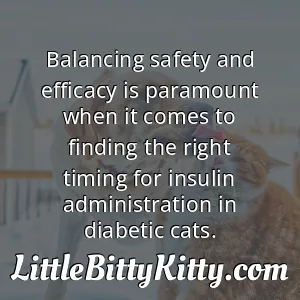 Balancing safety and efficacy is paramount when it comes to finding the right timing for insulin administration in diabetic cats.