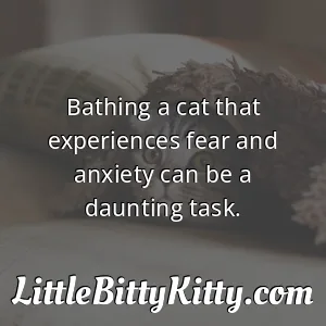 Bathing a cat that experiences fear and anxiety can be a daunting task.