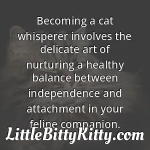 Becoming a cat whisperer involves the delicate art of nurturing a healthy balance between independence and attachment in your feline companion.