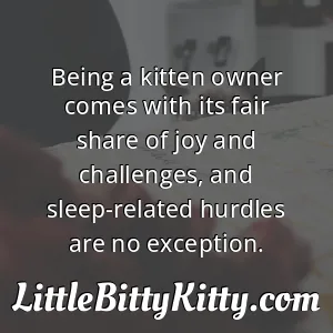 Being a kitten owner comes with its fair share of joy and challenges, and sleep-related hurdles are no exception.