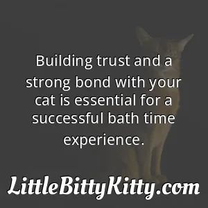 Building trust and a strong bond with your cat is essential for a successful bath time experience.