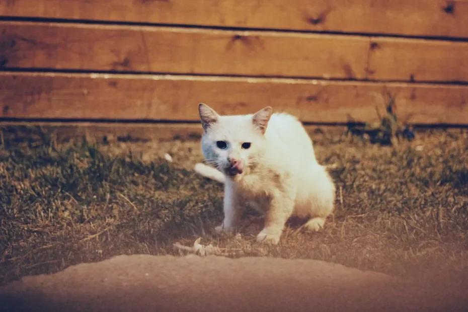 Can I Clean My Cat with Dish Soap? Unraveling the Sudsy Secrets!