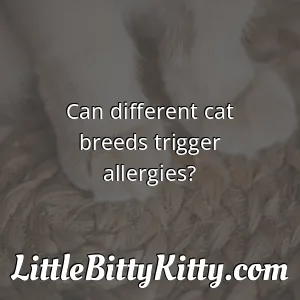 Can different cat breeds trigger allergies?