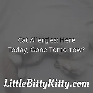Cat Allergies: Here Today, Gone Tomorrow?