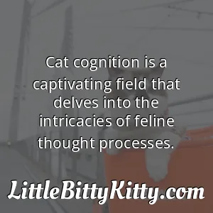 Cat cognition is a captivating field that delves into the intricacies of feline thought processes.