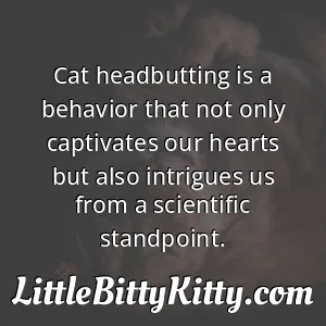 Cat headbutting is a behavior that not only captivates our hearts but also intrigues us from a scientific standpoint.