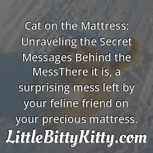 Cat on the Mattress: Unraveling the Secret Messages Behind the MessThere it is, a surprising mess left by your feline friend on your precious mattress.