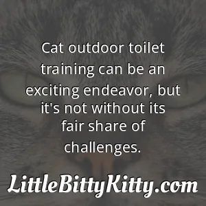 Cat outdoor toilet training can be an exciting endeavor, but it's not without its fair share of challenges.