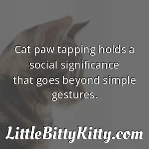 Cat paw tapping holds a social significance that goes beyond simple gestures.