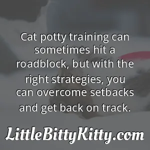 Cat potty training can sometimes hit a roadblock, but with the right strategies, you can overcome setbacks and get back on track.
