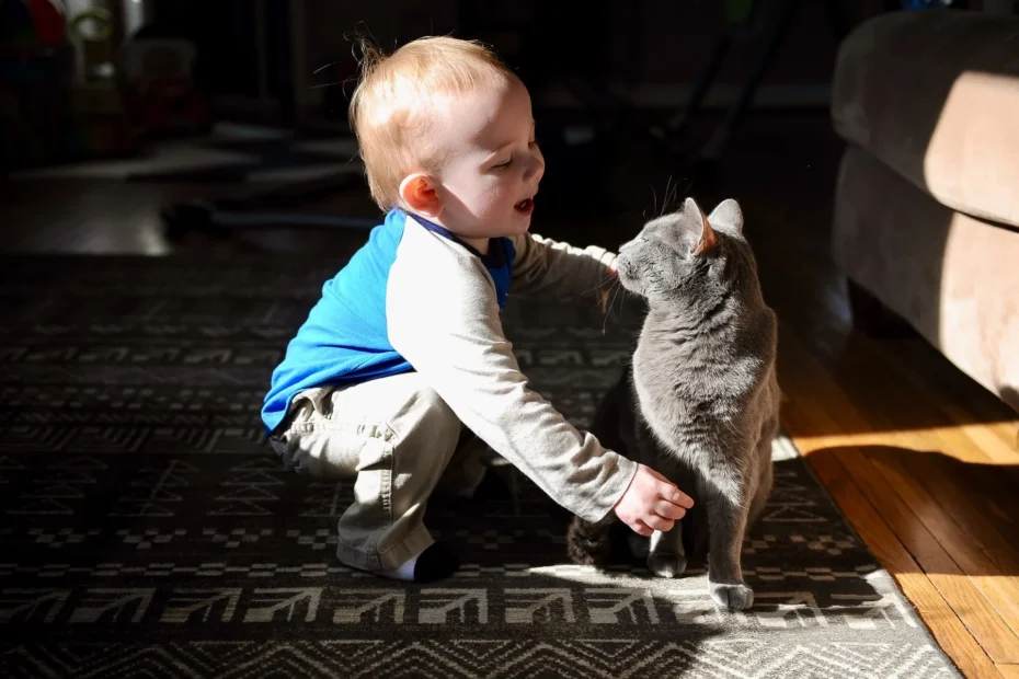 Cats and Children
