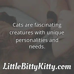 Cats are fascinating creatures with unique personalities and needs.