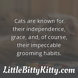 Cats are known for their independence, grace, and, of course, their impeccable grooming habits.