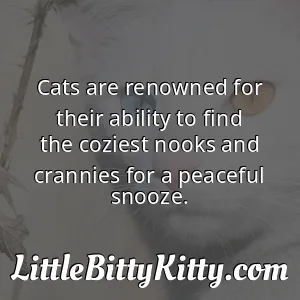 Cats are renowned for their ability to find the coziest nooks and crannies for a peaceful snooze.