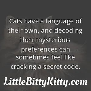 Cats have a language of their own, and decoding their mysterious preferences can sometimes feel like cracking a secret code.