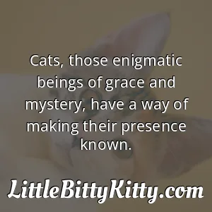 Cats, those enigmatic beings of grace and mystery, have a way of making their presence known.