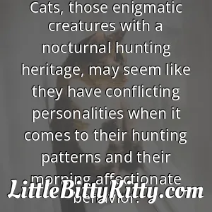 Cats, those enigmatic creatures with a nocturnal hunting heritage, may seem like they have conflicting personalities when it comes to their hunting patterns and their morning affectionate behavior.