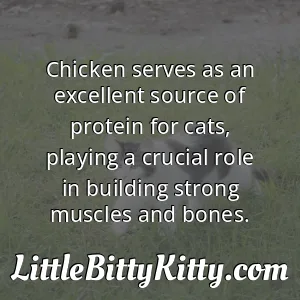 Chicken serves as an excellent source of protein for cats, playing a crucial role in building strong muscles and bones.