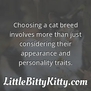 Choosing a cat breed involves more than just considering their appearance and personality traits.