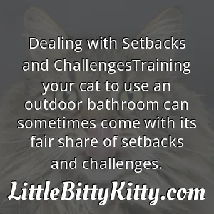Dealing with Setbacks and ChallengesTraining your cat to use an outdoor bathroom can sometimes come with its fair share of setbacks and challenges.