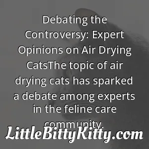 Debating the Controversy: Expert Opinions on Air Drying CatsThe topic of air drying cats has sparked a debate among experts in the feline care community.