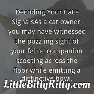 Decoding Your Cat's SignalsAs a cat owner, you may have witnessed the puzzling sight of your feline companion scooting across the floor while emitting a distinctive howl.