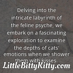 Delving into the intricate labyrinth of the feline psyche, we embark on a fascinating exploration to examine the depths of cats' emotions when we shower them with kisses.