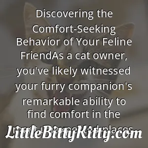 Discovering the Comfort-Seeking Behavior of Your Feline FriendAs a cat owner, you've likely witnessed your furry companion's remarkable ability to find comfort in the most unexpected places.