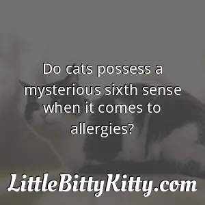 Do cats possess a mysterious sixth sense when it comes to allergies?